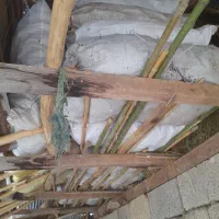 فرنگی للکی خوب