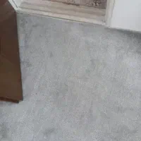 موکت پرزبلند پالاز درجه یک|موکت|یزد, |دیوار