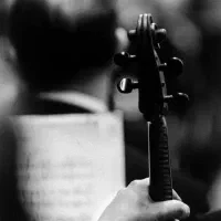 آموزش تخصصی ساز ویولون