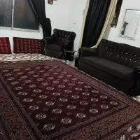 فرش|فرش|گرگان, |دیوار