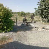فروش زمین باغی وکساورزی دررودان