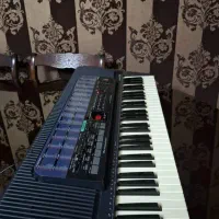 ارگ کاسیو|پیانو، کیبورد، آکاردئون|تهران, جردن|دیوار
