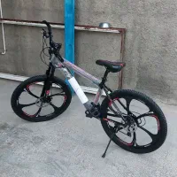 دوچرخه حرفه ای