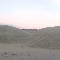 کاه عدس