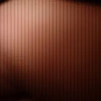 شناسنامه گم کردم یابنده اطلاع دهید ممنونم