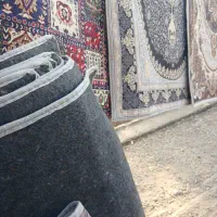 قالیچه|فرش|بهبهان, |دیوار