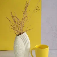 ماگ سرامیکی