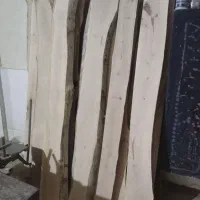 چوب چنار