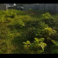 474متر مسکونی دور دیوار 16متر بر کوچه آسفالته|فروش زمین و ملک کلنگی|احمدسرگوراب, |دیوار