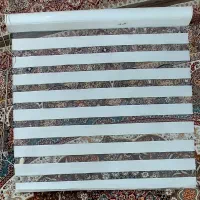 دو عددپرده زبرا