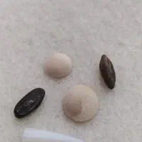 مهره تضمینی