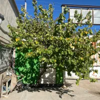 فروش فوری کارتل کانکس نگهبانی|ماشینآلات صنعتی|جلفا, |دیوار