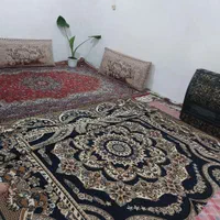 اجاره روزانه سوییت در دل طبیعت ماسال|اجارهٔ کوتاه‌مدت آپارتمان و سوئیت|ماسال, |دیوار