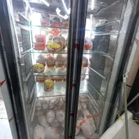 نیروی کار مرغ و ماهی