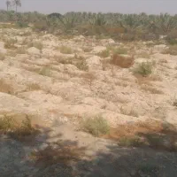 دوهکتارزمین کشاورزی درسعدآباد