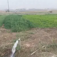 خوراکی و آشامیدنی