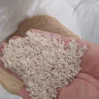 برنج طارم هاشمی