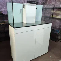 فروش و ساخت آکواریوم های ریملس برند blue ocean|ماهی|رشت, بلوار گیلان|دیوار