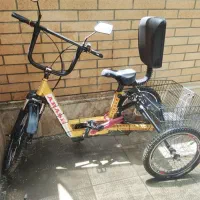 سه چرخه برقی