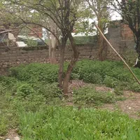 ویلا 400متری سوادکوه سنددار|فروش زمین و ملک کلنگی|زیرآب, |دیوار