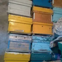 کندو زنبور خالی