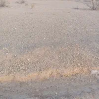 زمین|فروش زمین و ملک کلنگی|قلعه قاضی, |دیوار