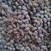 مویز انگور فخری