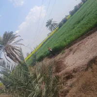 گروه فوق تخصصی کار و اجرای فنی