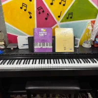 Ydp 143|پیانو، کیبورد، آکاردئون|مشهد, طبرسی شمالی|دیوار