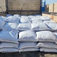 نیروی کار ساده سالن قارچ اتباع|استخدام صنعتی، فنی، مهندسی|قنوات, |دیوار