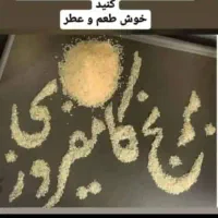 ۵۰۰کیلوبرنج کامفیروزی درجه یک