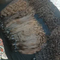 خریدار اصلی مو|خدمات آرایشگری و زیبایی|شاهدشهر, |دیوار