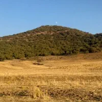 سرایدار ویلا