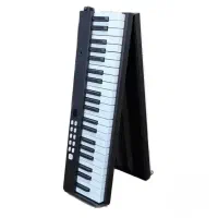 پیانو تاشو sandner 88|پیانو، کیبورد، آکاردئون|بوشهر, |دیوار