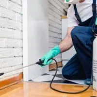 فروش انواع سم وسم پاشی(سمپاشی) حشرات وطعمه ی موش