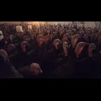 جوجه بوقلمون یک روزه و تخم نطفه دار|حیوانات مزرعه|تبریز, |دیوار