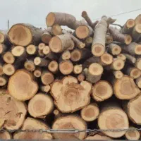 خریدچوب*