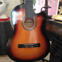 گیتار دست ساز سانچز اصل|گیتار، بیس، امپلیفایر|تهران, سلسبیل شمالی|دیوار