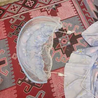 گهواره|تخت و صندلی بچه|اصفهان, برازنده|دیوار