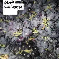 انگور قرمز