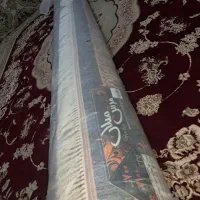 قالی ۱۲متری