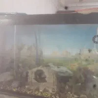 آکواریوم با لوازم