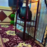 تلوزیون قیمت توافقی