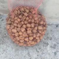 گردو|خوردنی و آشامیدنی|دورود, |دیوار
