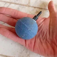 آکواریوم معاوضه|ماهی|آستانه اشرفیه, |دیوار