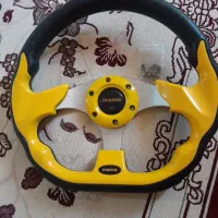 فرمون چراغ پلیسی