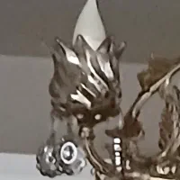 لاله لوستر شامپاینی