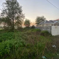 ۲۳۴متر زمین ساحلی مسکونی ولی اباد