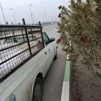 وانت بار 24ساعت شبانه روز