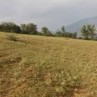 فروش زمین|فروش زمین و ملک کلنگی|مرزن‌آباد, |دیوار